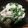 ななえ先生's cooksnap of when they made 菜の花と鶏胸肉のマスタード和え.