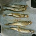 ami-rarara's cooksnap of when they made ししゃもの焼き方.