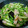 明日になれば♪'s cooksnap of when they made おさかなソーセージとアスパラのバター炒め.