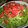 まみまみぽん's cooksnap of when they made 我が家の定番タコライス.
