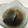 動物母さん's cooksnap of when they made なすと万願寺とうがらしの揚げ煮.