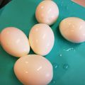 えくれあみかんちゃん's cooksnap of when they made 綺麗に剥けるゆで卵の作り方♡半熟.