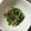 新米主婦Kちゃん's cooksnap of when they made もやしとニラの和風和え.