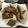 クック9P6O5D☆'s cooksnap of when they made シシャモの竜田揚げ.