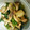 ねぞろ's cooksnap of when they made えりんぎとネギのナムル.