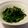 YuMomo1123's cooksnap of when they made 電子レンジで簡単！　菜の花の辛子和え.