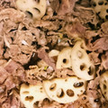 クックTTCYOV☆'s cooksnap of when they made 牛肉とれんこんの炒めもの@焼き肉のたれ.