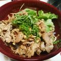 0455's cooksnap of when they made 男飯！ねぎたっぷり豚丼.