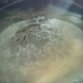 かぴーな's cooksnap of when they made 即席！とろろ昆布のインスタントお味噌汁.