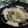まろんかふぇ's cooksnap of when they made 新玉ねぎとさきいかのポン酢和え.