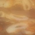 クックJQJZIF☆'s cooksnap of when they made 簡単！ちくわとこんにゃく煮。.