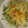 クック5WRLMX☆'s cooksnap of when they made 豆苗でちぢみ風に☆.