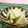 赤い電話's cooksnap of when they made 簡単！大根の浅漬け.