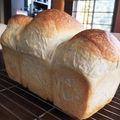 マサーー's cooksnap of when they made 天然酵母パン、ゴールデンヨット.
