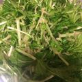 kaedenatsu's cooksnap of when they made 水菜ちりめんじゃこサラダ.