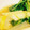 なむい's cooksnap of when they made 冬から春へ♪　下仁田ねぎと菜の花の煮浸し.