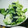 はと0218's cooksnap of when they made 簡単！レタスの韓国風サラダ.