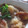 らくぼう's cooksnap of when they made ふわとろささみの☆カレー風味おろし煮♪♪.
