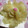 ★ほのどんママ★'s cooksnap of when they made 簡単♪サクッとうまい！新玉の花咲く天ぷら.