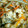 cao3mei2's cooksnap of when they made つくしの炊き込みごはん.