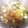 Mっしぃ's cooksnap of when they made 簡単節約！もやしとワカメ豆腐の中華スープ.