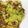 はる❁﻿'s cooksnap of when they made ツナとキャベツのチーズ焼き.