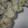 ぱふくりーむ's cooksnap of when they made とうもろこしのごはん.