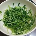 まなわかこじ's cooksnap of when they made 【 ｢だけ｣レシピ】豆苗のナムル.