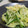 ＊ろりす＊'s cooksnap of when they made 材料3つ！簡単きゅうりとタクアンの和え物.