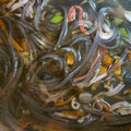 ﾍﾞｼﾞ子♣'s cooksnap of when they made とろとろ♥のりと豆腐の韓国スープ♥.