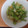クックQP21M6☆'s cooksnap of when they made やみつき★セロリと大葉の簡単浅漬け.