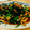 クックJBLUP3☆'s cooksnap of when they made 春菊と豚肉の✿オイスター炒め✿.
