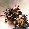 きえまま's cooksnap of when they made 簡単♪絶品！マーボーひじき.