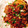 misumisu07's cooksnap of when they made 鶏皮と蓮根のきんぴら.