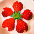 peteco's cooksnap of when they made ＊桜咲く いちごのヨーグルトデザート.