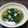 クックパパBOY's cooksnap of when they made 簡単青菜炒め.