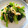 Miyuina＊'s cooksnap of when they made 応用がきく！小松菜と油揚げのおひたし.