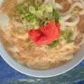 ほもさぴくろまによん's cooksnap of when they made 簡単♪たまごと明太子のあんかけうどん.