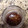 nobonobo55's cooksnap of when they made 酢しょうが.