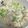 にむばすしゅたーぜん's cooksnap of when they made エビとアボカドのサラダ.