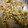 crue7's cooksnap of when they made ふきのとう味噌.