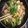 クックGFY8CA☆'s cooksnap of when they made 鶏肉とジャガイモのカチャトーラ風.