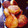 miluponn's cooksnap of when they made 大根餅(みたらし風).