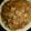 もりのりころ's cooksnap of when they made 鶏手羽先と玉ねぎの甘辛煮.