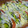 satoママン's cooksnap of when they made 夏野菜の重ね焼き.