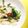 みぃーーみ☆'s cooksnap of when they made エリンギの白菜炒め.