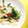 みぃーーみ☆'s cooksnap of when they made エリンギの白菜炒め.