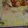 ｽｶｲﾌｨｯｼｭ☆'s cooksnap of when they made シチューの残りでライスグラタン.