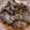 ムラーン's cooksnap of when they made あさりとにんにくのバターしょうゆ蒸し.