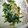 パパの手料理☆'s cooksnap of when they made きのことほうれん草のガーリック焼き.
